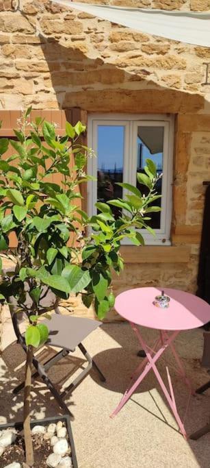 Le Gite Des Pierres Dorees Marcilly-d'Azergues Exterior photo